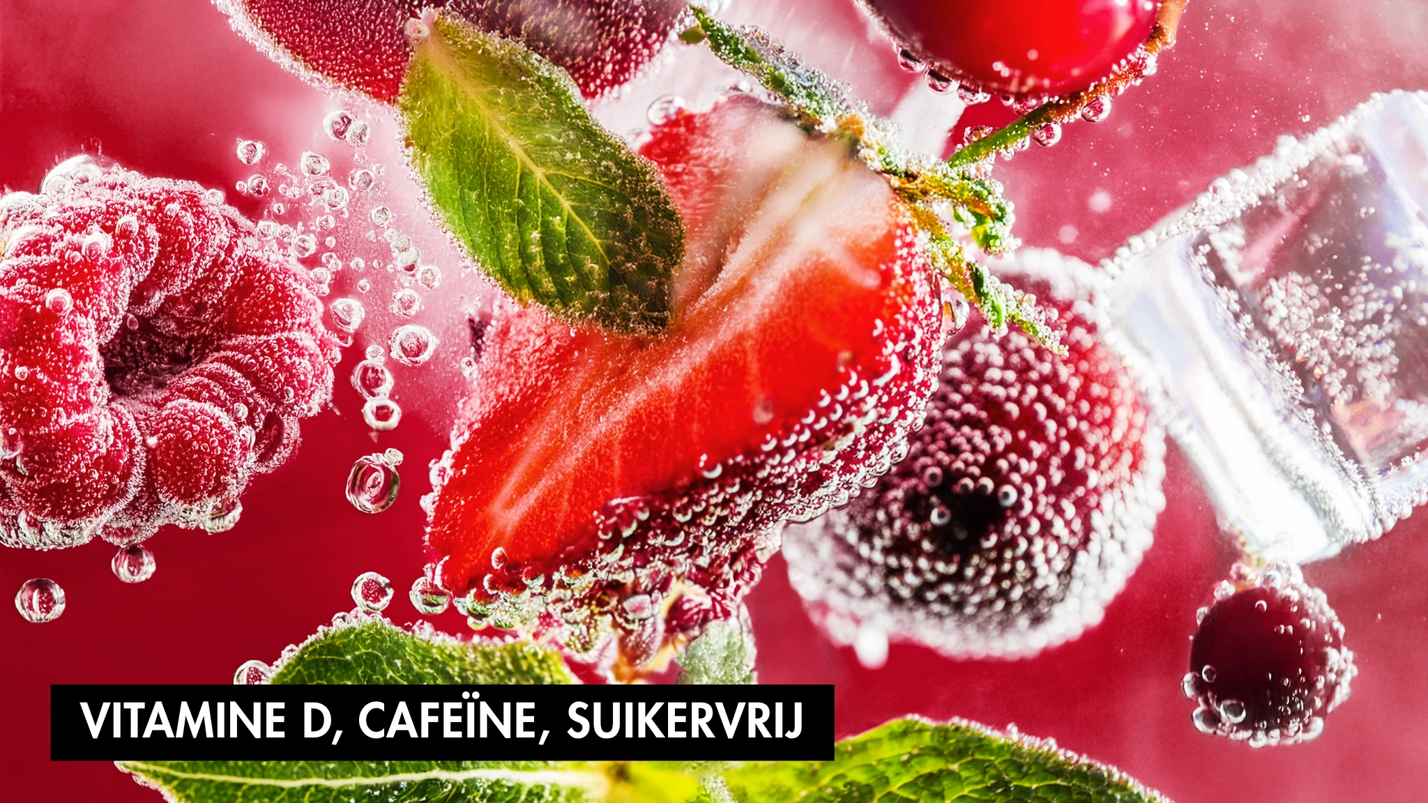FOCUS - RED FRUITS