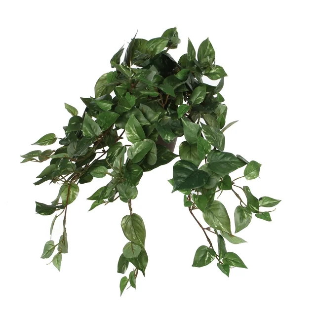 Kunstplant Mica Scindapsus hangend groen Ø25 45cm